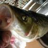 DSCN9028.JPG