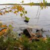 IMG_8676.JPG