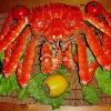 DSC01864.jpg