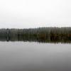 IMG_8894.JPG