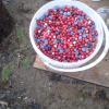 20140811_182647.jpg