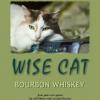 bourbon Wise Cat.jpg