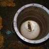 DSC00739.JPG