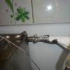 dsc03788.jpg