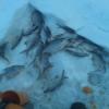 2012-01-20_04.49.42.jpg