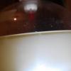 IMG_02032016_054911.jpg