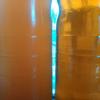 IMG_20160319_135607_1.jpg