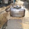 DSC01447.JPG