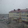 DSCF2574.JPG