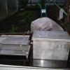DSC01562.JPG