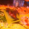 IMG_20160709_165450.jpg