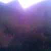 IMG_20160709_181245.jpg