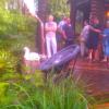 IMG_20160709_181300.jpg