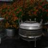 DSC02247.JPG