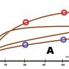 gr1-ferments-605x400.jpg
