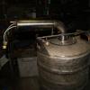 DSC02376.JPG