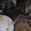 DSC01475.JPG