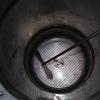 DSC01478.JPG