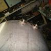 DSC02720.JPG