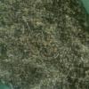 UNADJUSTEDNONRAW_thumb_1ec6.jpg