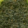 UNADJUSTEDNONRAW_thumb_1ec7.jpg