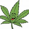 cannabis-leaf-drawing-i-image-car-pictures-3zE5b0-clipart.jpg