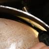 DSC02880.JPG