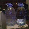 IMG01905.jpg
