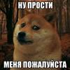 sad-doge_135325369_orig_.jpg