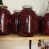 DSC05758.JPG