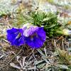 IMG-20170823-WA0016.jpg