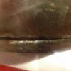 IMG-8ae3812db091cbab04193d76408335f2-V_resized_20171210_092931832.jpg