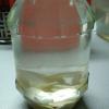 IMG-20180211-WA0054.jpeg