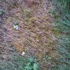 20180710_0636261.jpg