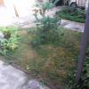 20180710_0636551.jpg