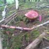 img10118.jpg