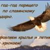 IMG-20181231-WA0008.jpg