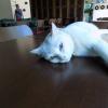 DSCN1243.JPG