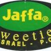 Jaffa-Sweetie--3092.jpg
