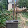 IMG-20190416-WA0001.jpg