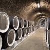 Barrels-in-wine-cellar-1024x683.jpg