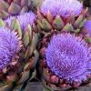artichoke-bouquet-642x393.jpg