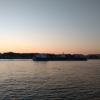 IMG_20200627_035342365.jpg