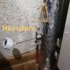 IMG_20201206_164617.jpg