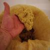 IMG_20210217_155817.jpg