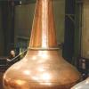 copper_-stills_1.jpg