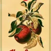 i 2.webp