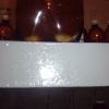 IMG_20211019_113538.jpg