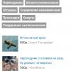 Screenshot_20220803_212146.jpg