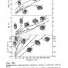 5761B018-B8C6-4AD2-B433-653D3B418FF1.jpeg